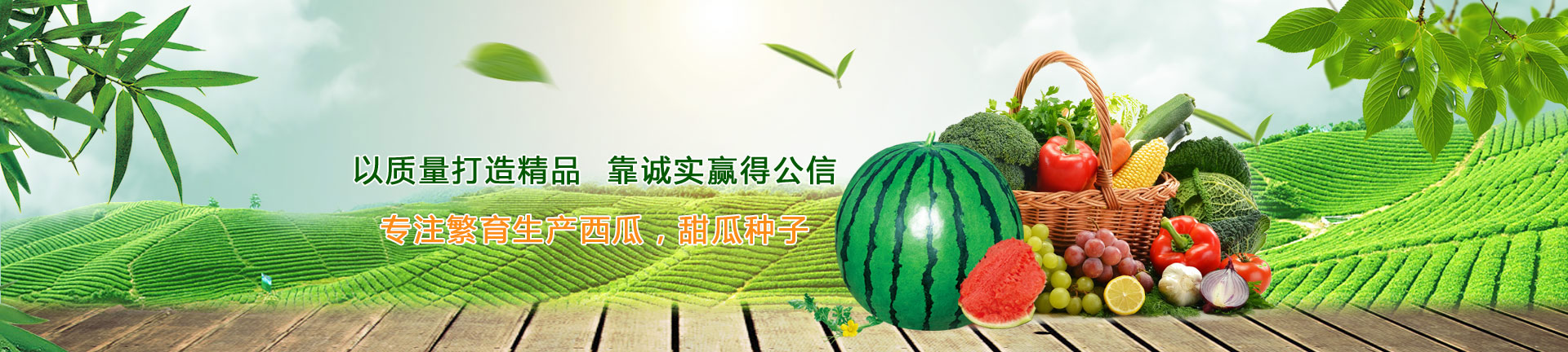 mk体育是正规的吗